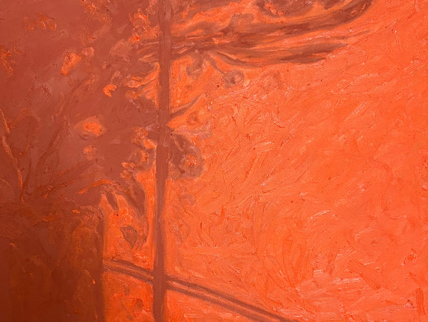 The shadows we left to touch