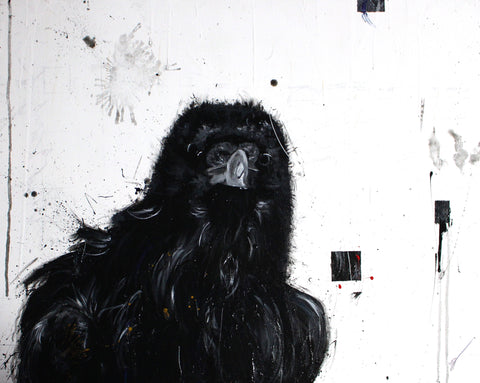 Corvus no5